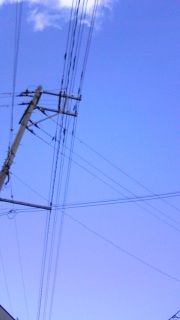 [݁[_(^O^)^