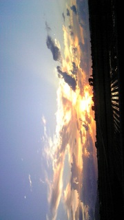 (untitled)