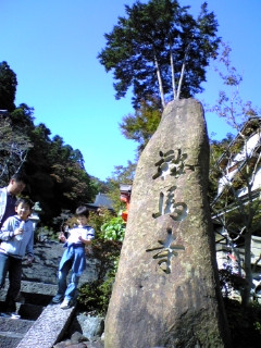 �Ɣn�������I