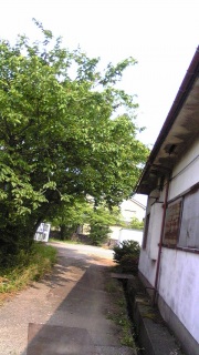 ڂn